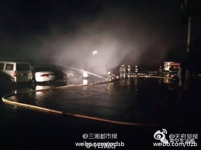 成人 在线 免费