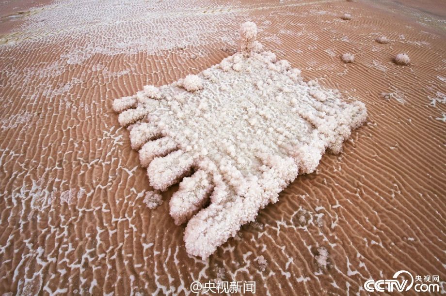 韩版三级片免费观看夫妻