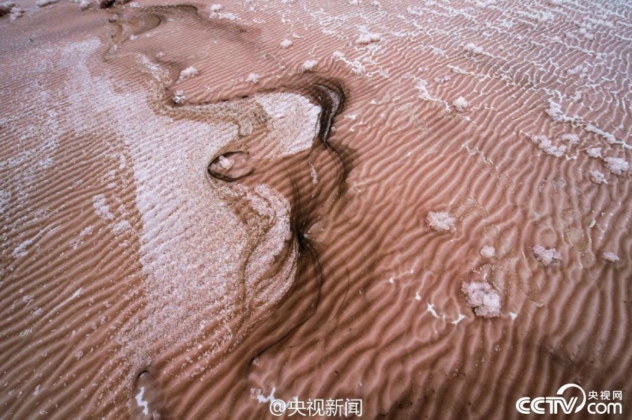 操屄软件