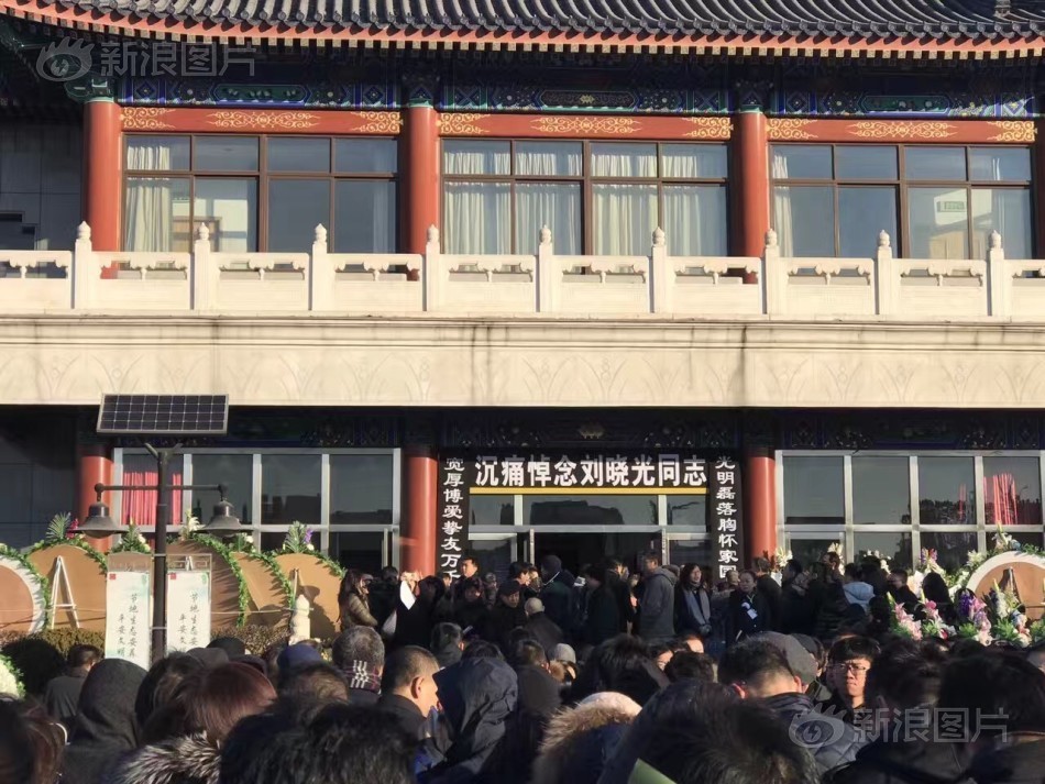 麻豆网站