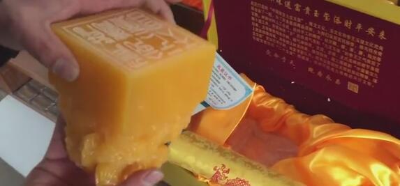 王牌御史