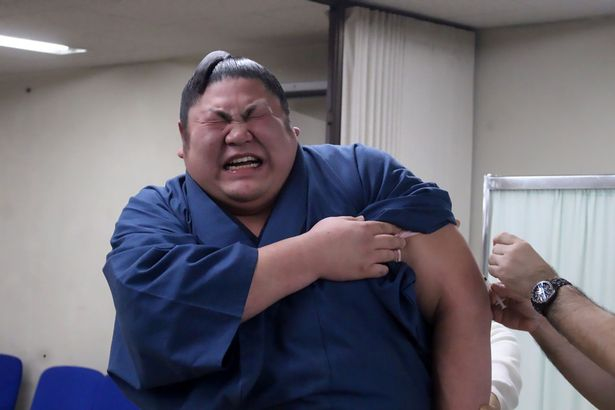 冠希