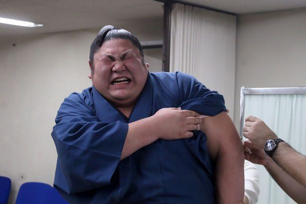 豐滿色情片