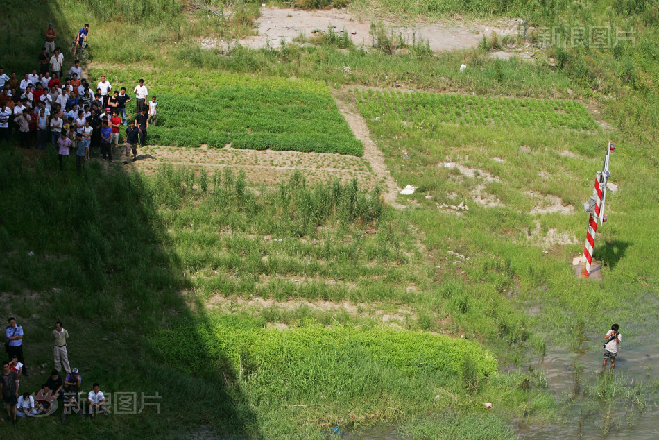 黄色网址在线播放
