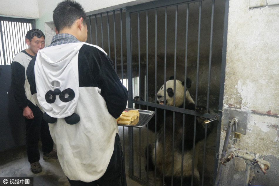 99久久综合