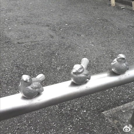 国产精品久久久久永久免费看