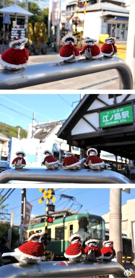 日韩免费操逼