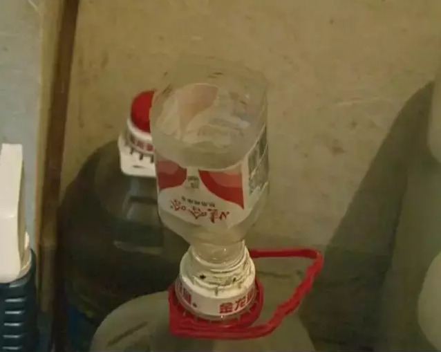 看黄片视频免