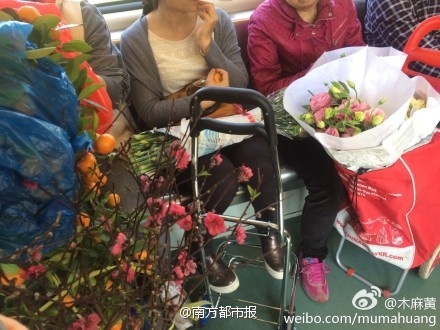 免费无码爽又刺激激情视频软件