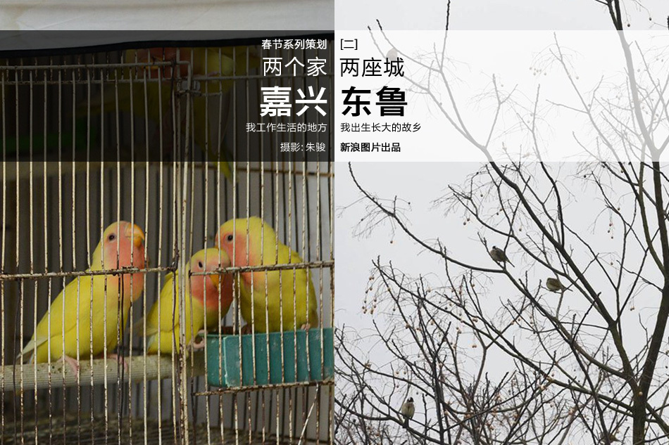 雨宮琴音