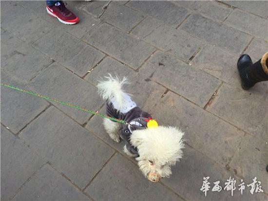 控射