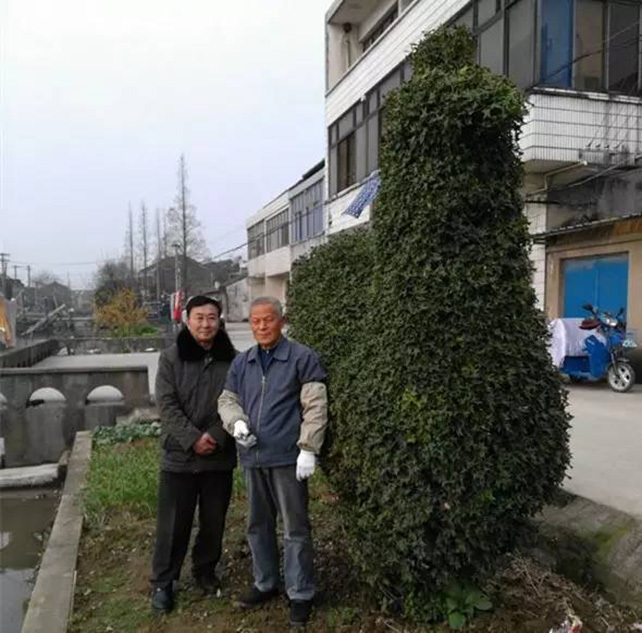 一母四女一婿胡本兴