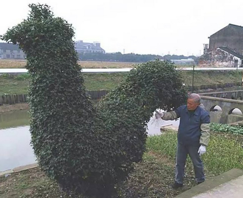 乡村的性爱生活片