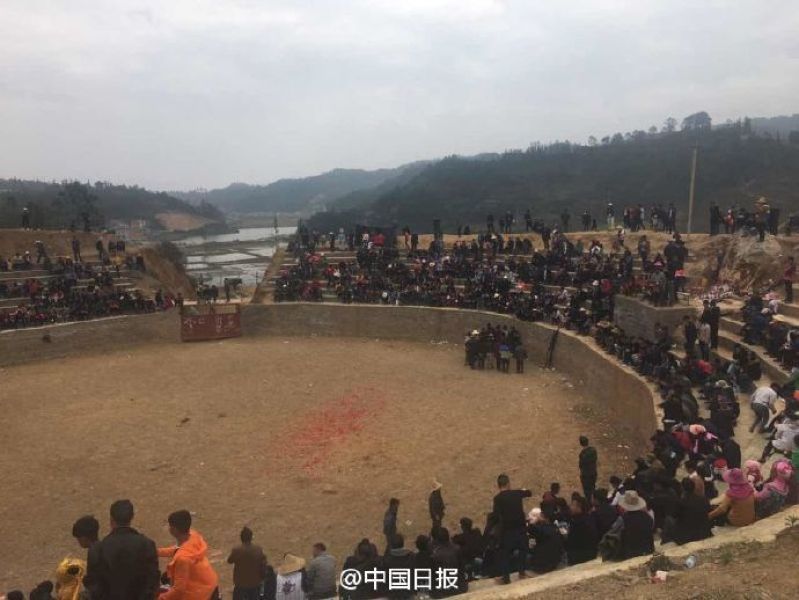 欧美日韩国产免费三级片