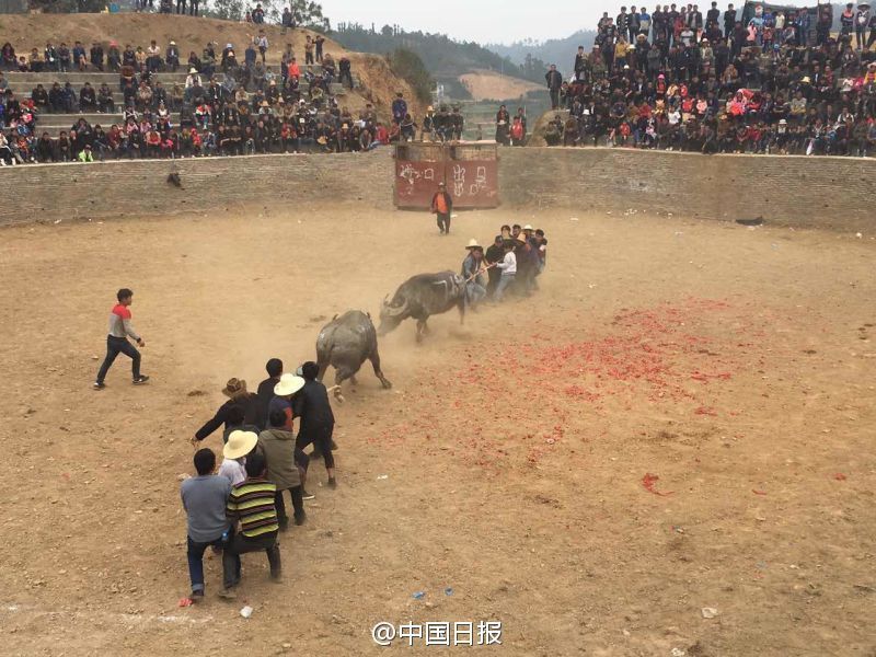 黄色影院免费观看不卡