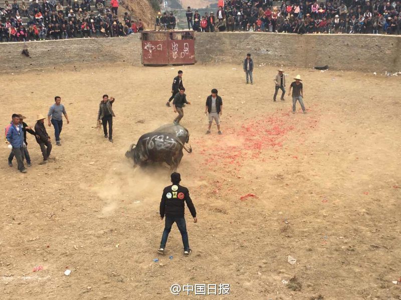 黄色网站免下载