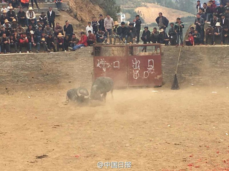 特黄高清三级片