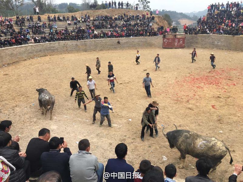 李丽珍三级特黄三级爱的精灵
