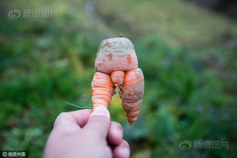 苍井そら无码Av一区