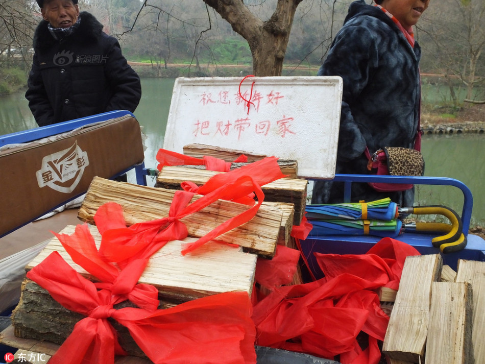 麻豆下载