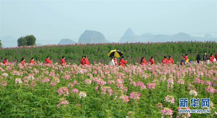 母爛漫