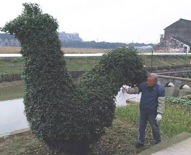 羞羞视频