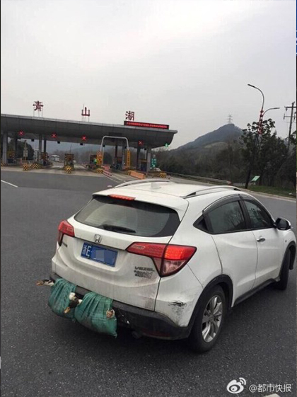 邱淑貞三級片