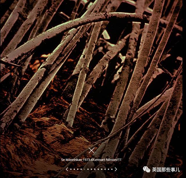 www.黄色