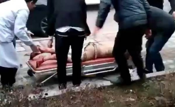国产一级特黄大片色