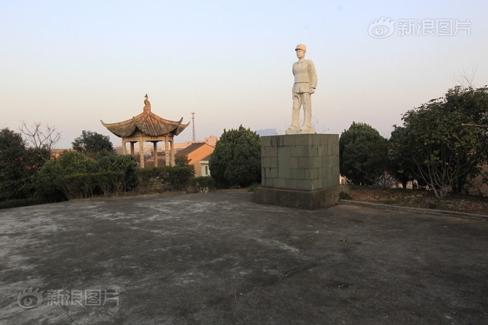 ???码人妻免费视频