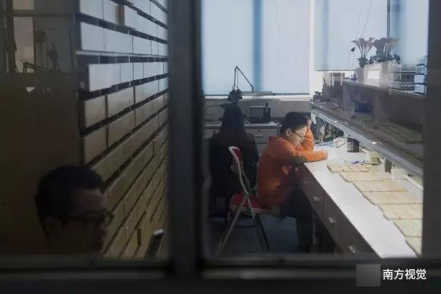 免费黄色视频网站