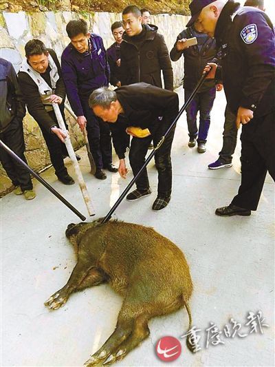 一群裸体女同学玩我jiji