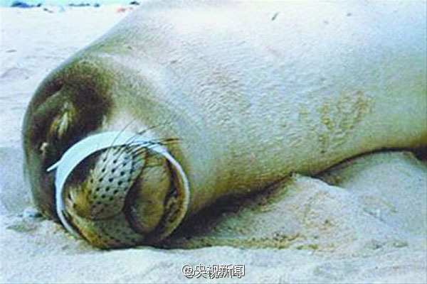 吃奶无码区