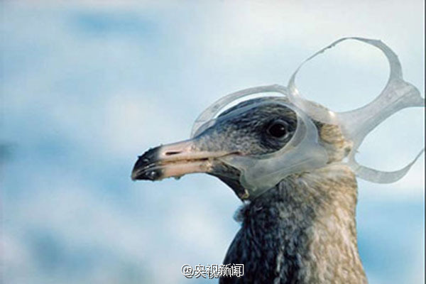 台北娜娜茶艺师旗袍