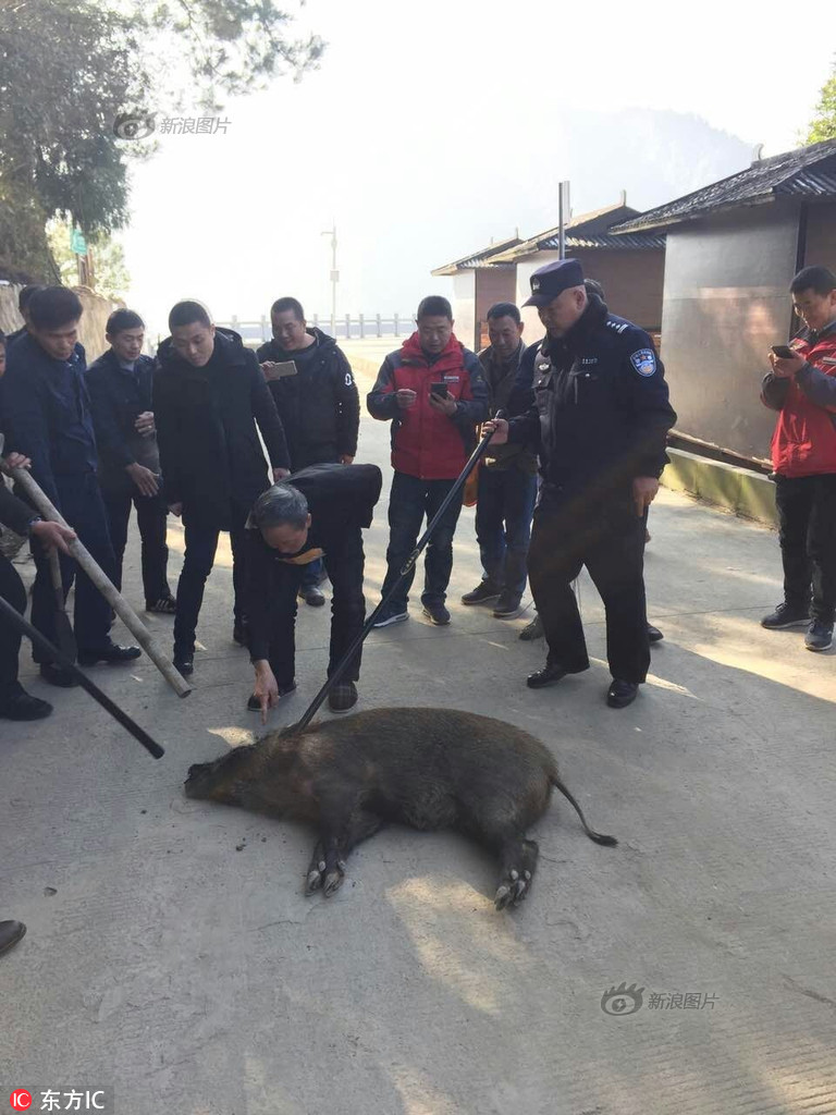 激情综合婷婷色五月蜜桃