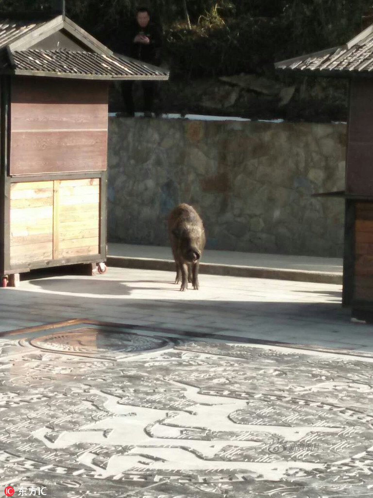 日本一级做a爱片