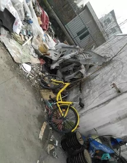 欧美日性爱