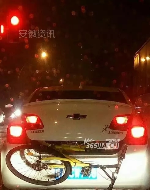 真人张柏芝一级毛片