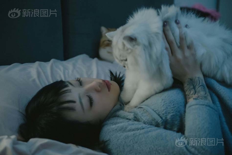 中国性老太Hd大全