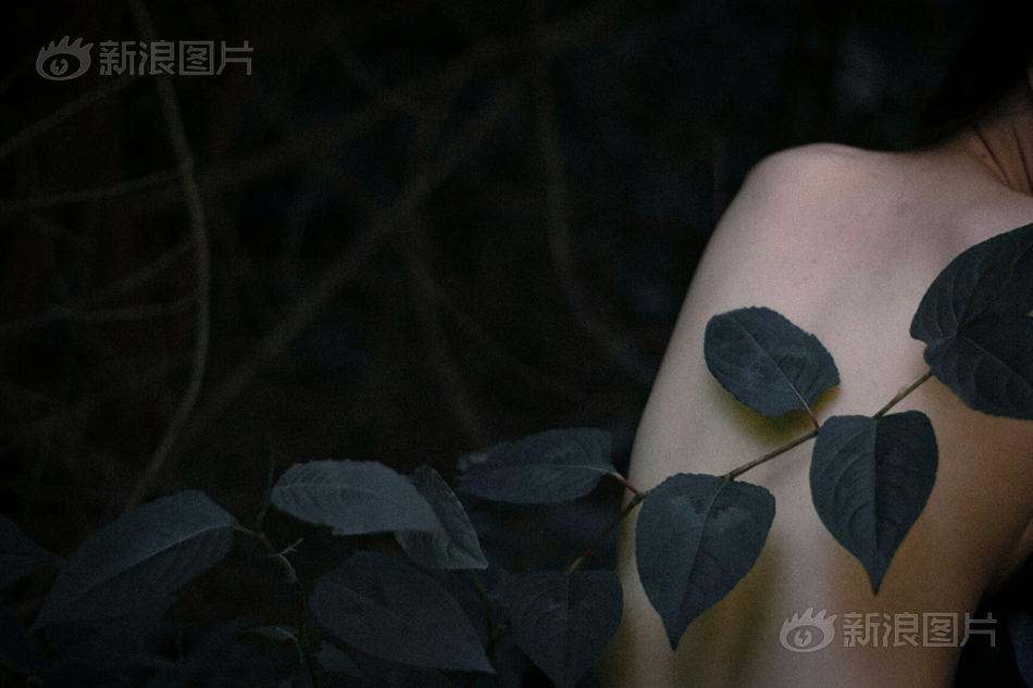 Www.黄色网站Hd