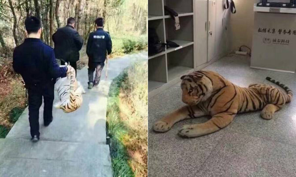中国X站