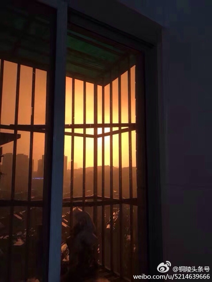 越南看護