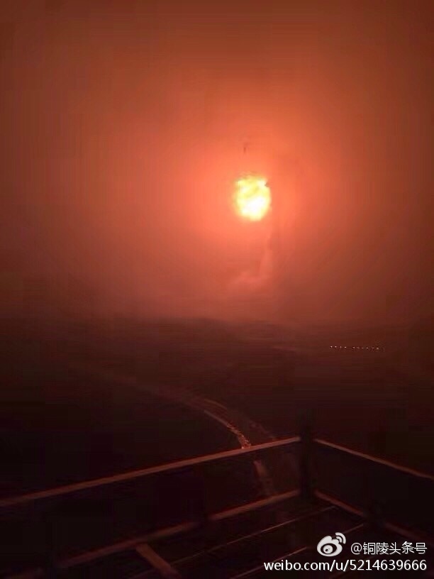 免费日逼视频