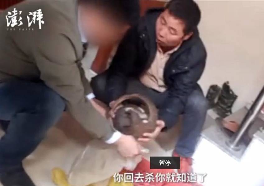 美女露100%的身体无庶挡