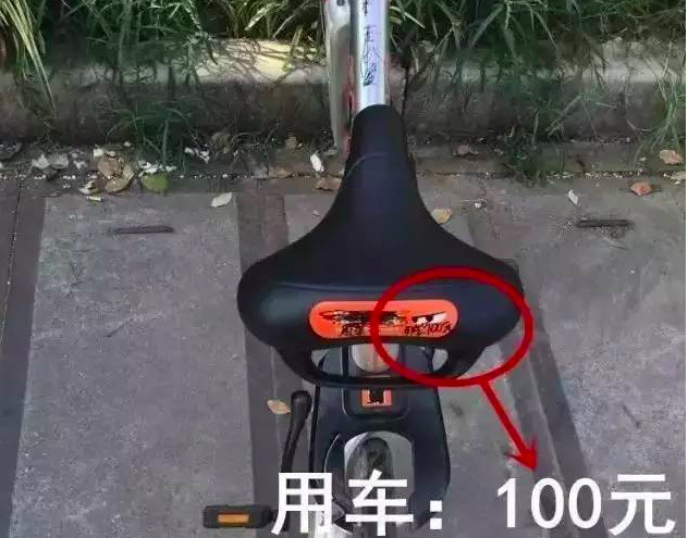 啪啪视频