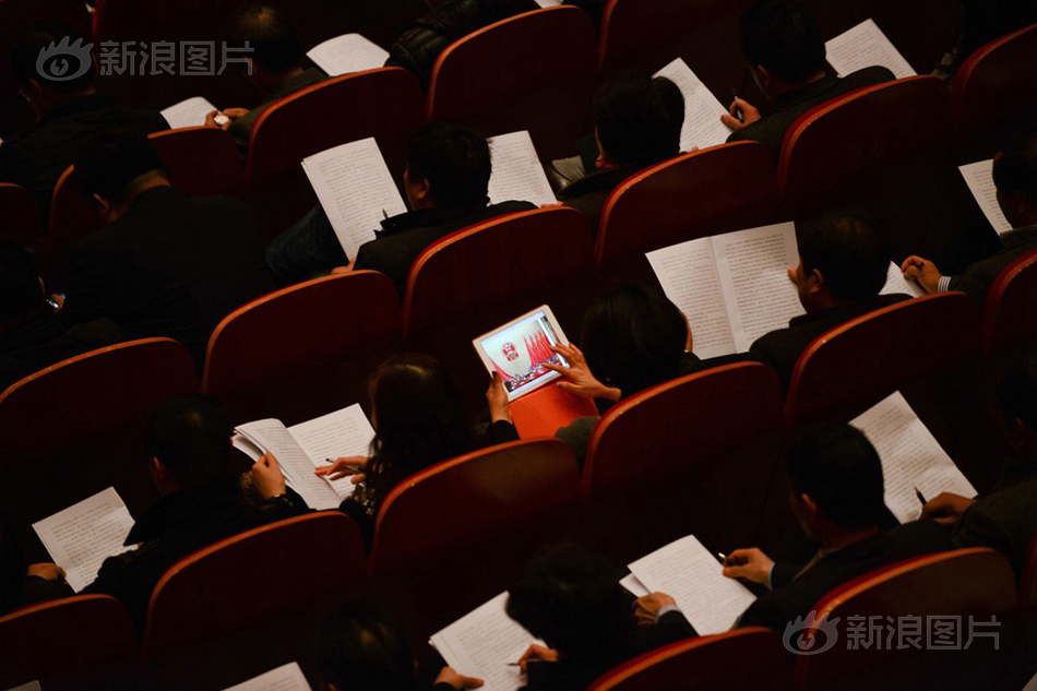 国产人善交Video另类