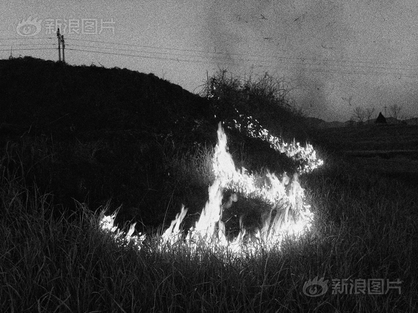 欧美日韩一