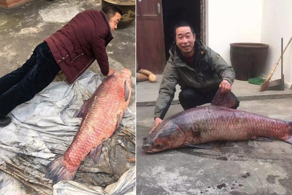 那免费看黄色视频的网站