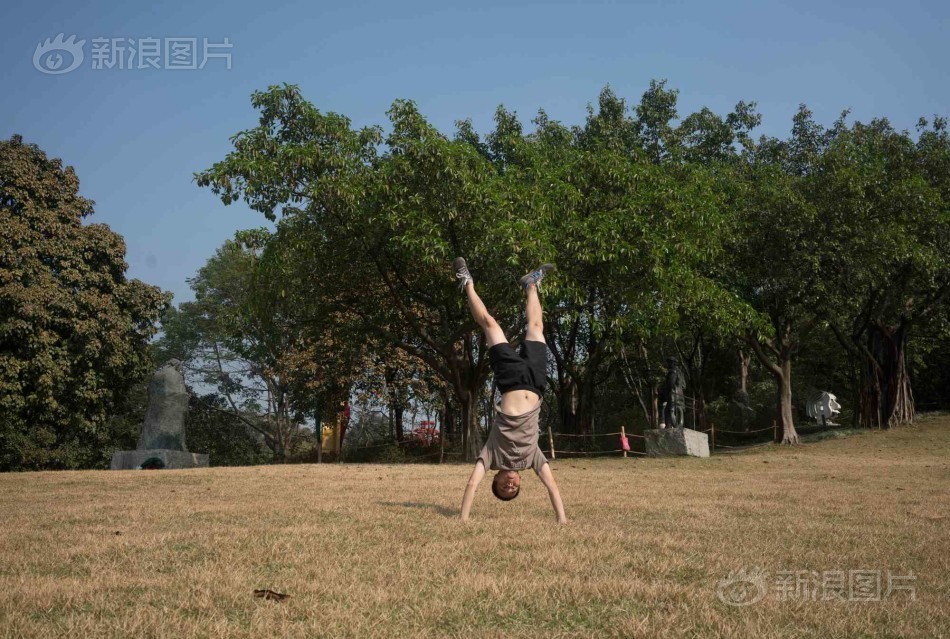 黄色 视频 在线 观看