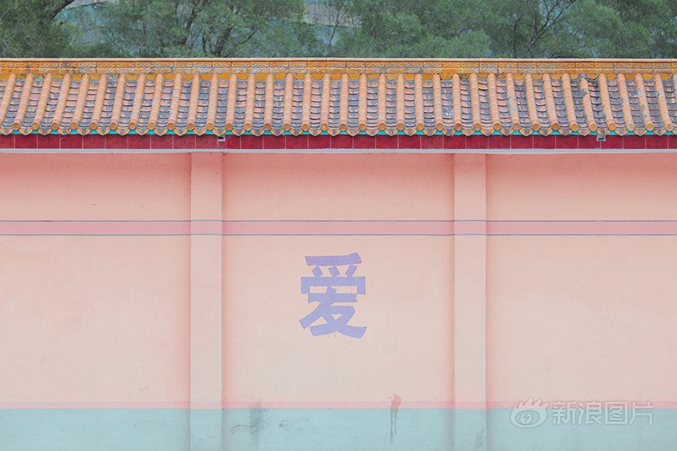 国产 免费 视频 传媒